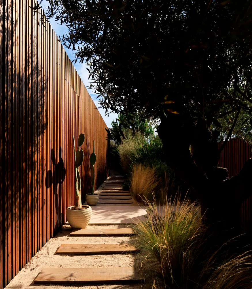 Modern pathway with wooden steps surrounded by concrete and plants under a wooden fence.