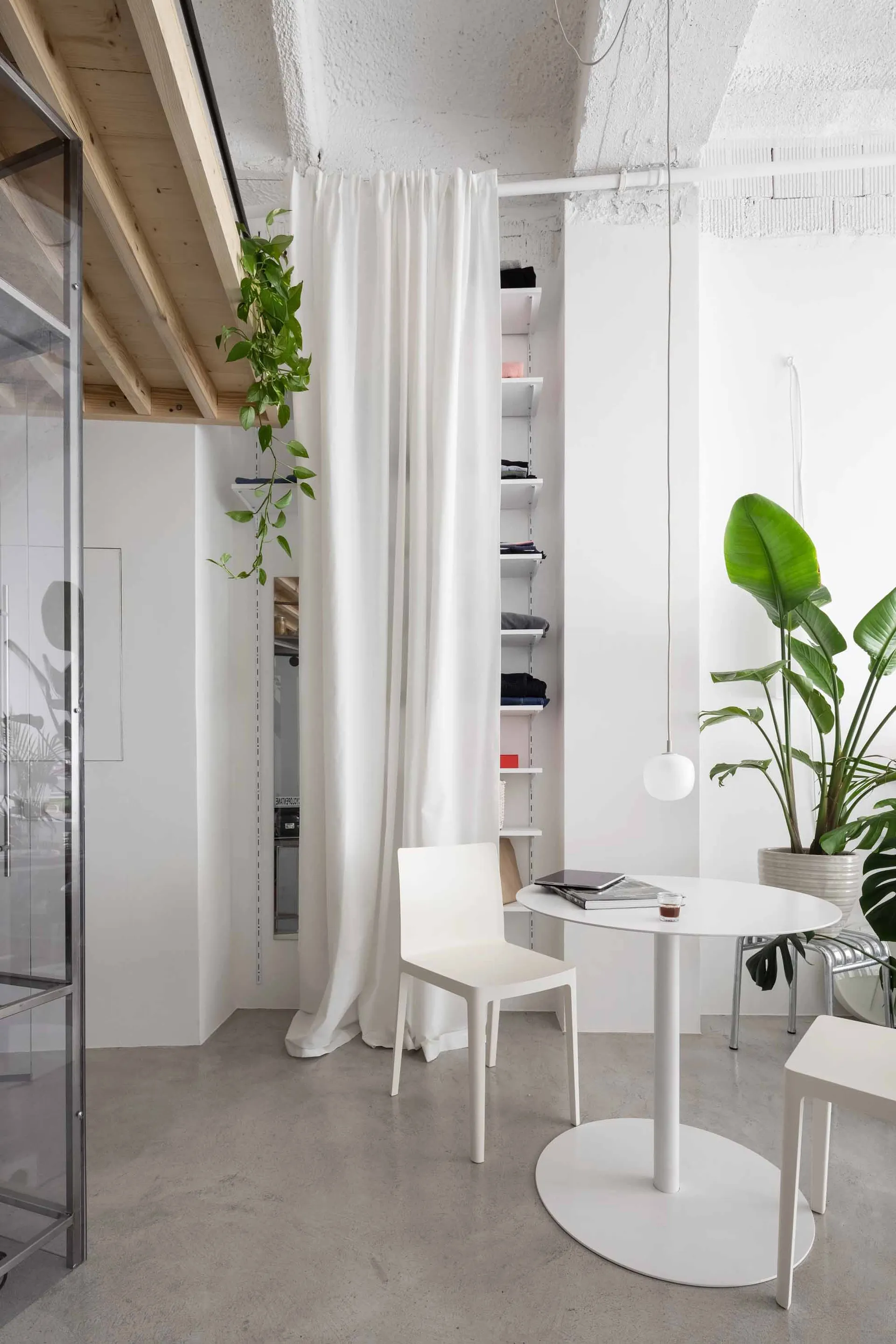 A minimalist living space with concrete walls, a white chair, and potted plants.