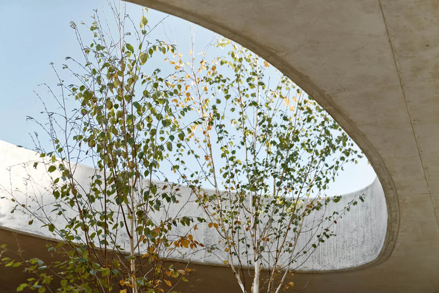 Concrete building structure with greenery
