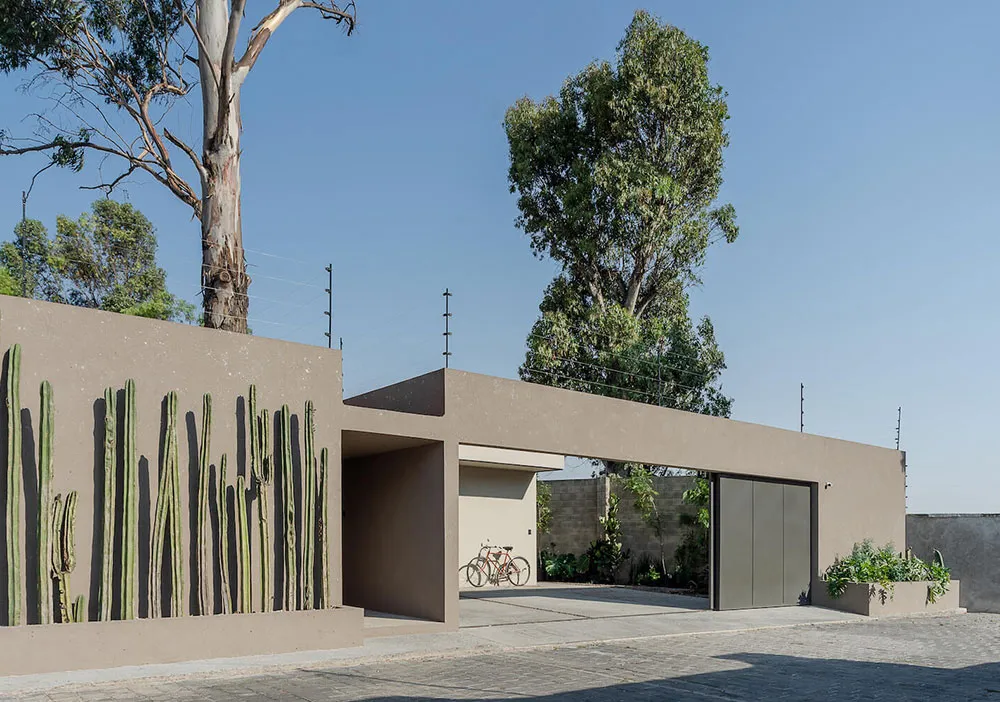 A minimalist concrete garage with a modern design and green cactus plants on the wall.