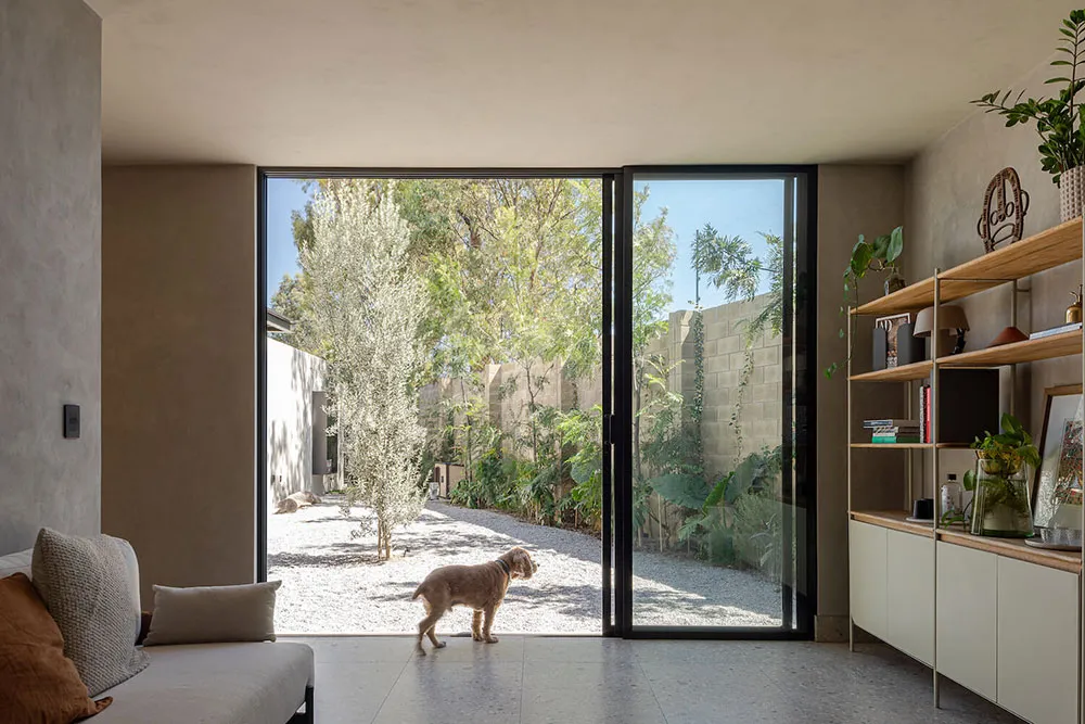 簡約住宅室內空間,搭配大型玻璃窗與清水混凝土地板。
