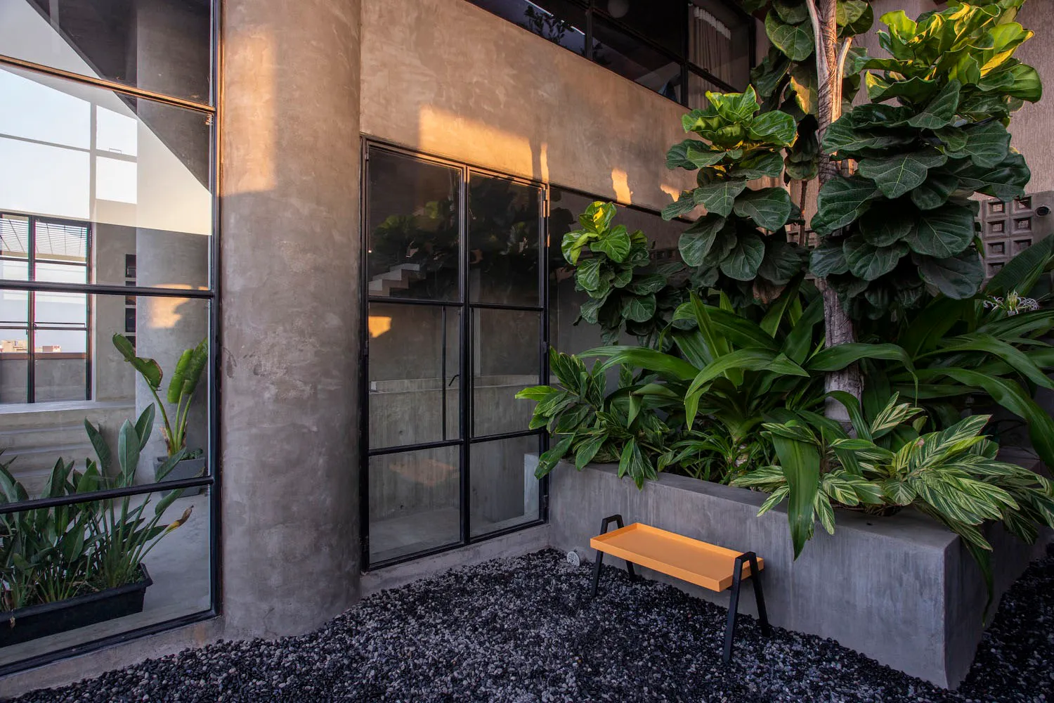 A minimalist garden with concrete and glass planters, showing a modern industrial design style.