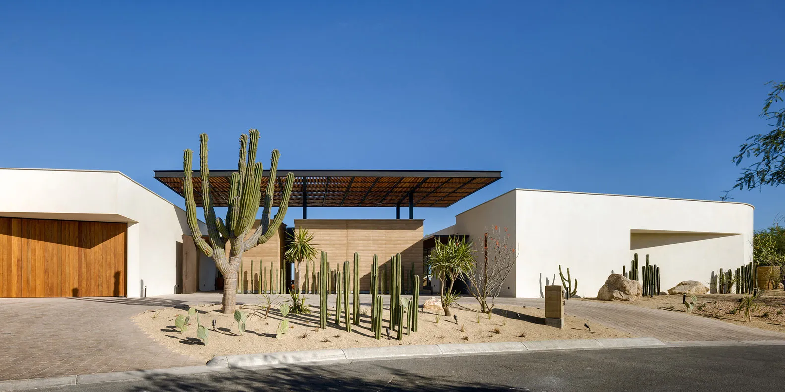 Modern residential architecture with minimalist white exterior and large cacti in the landscape.