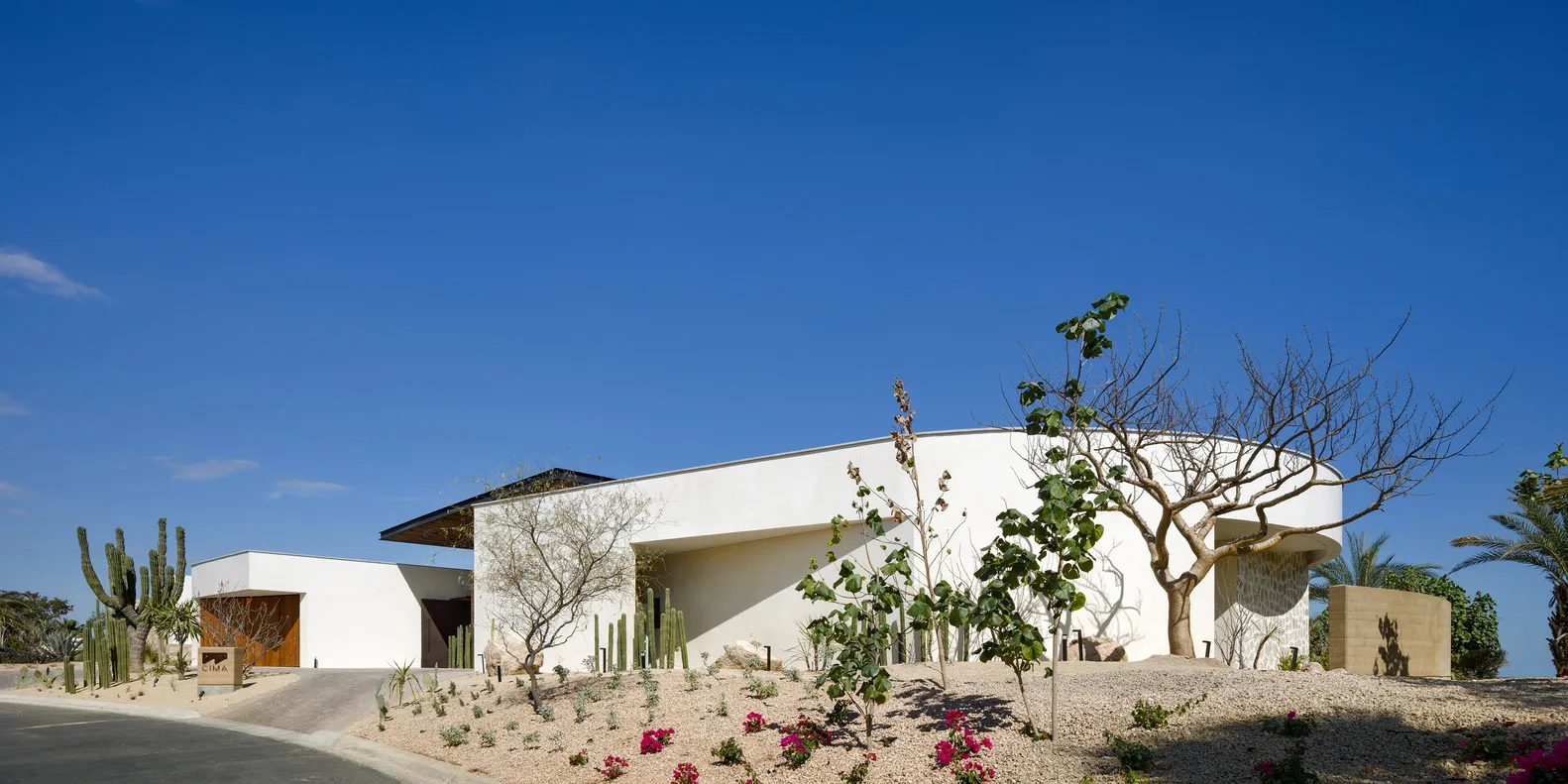 A white, modern minimalist house with glass elements and desert flora in the landscaping.
