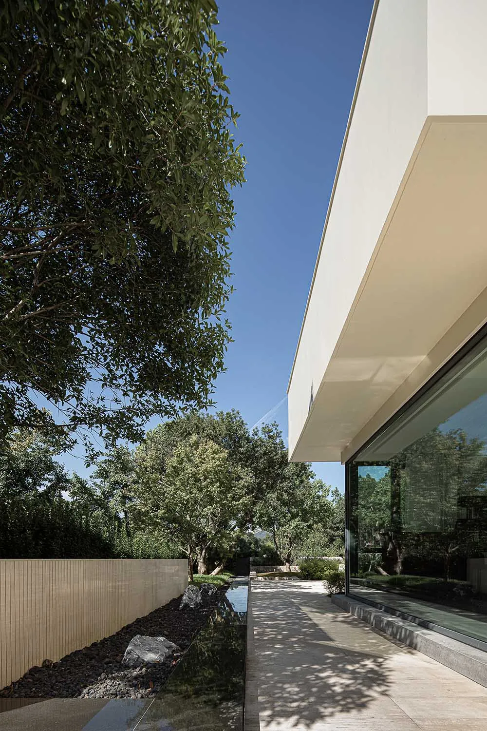 A modern house exterior featuring a concrete pathway bordered by greenery and a glass wall.