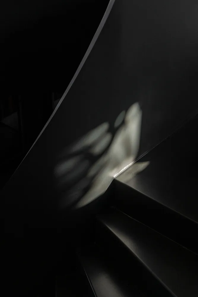 The shadow of a flying bird cast on a metallic staircase against a black background.