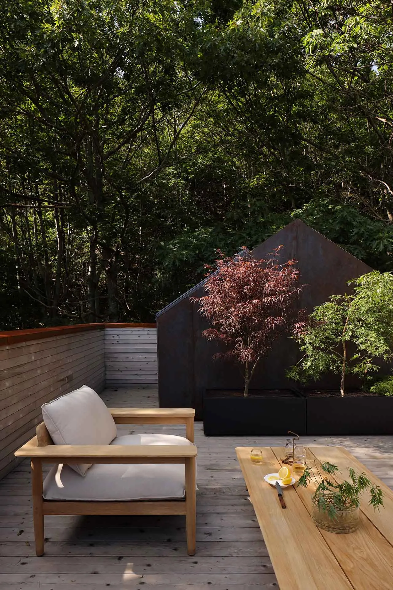 A minimalist outdoor living space featuring wooden furniture and greenery surrounded by trees.