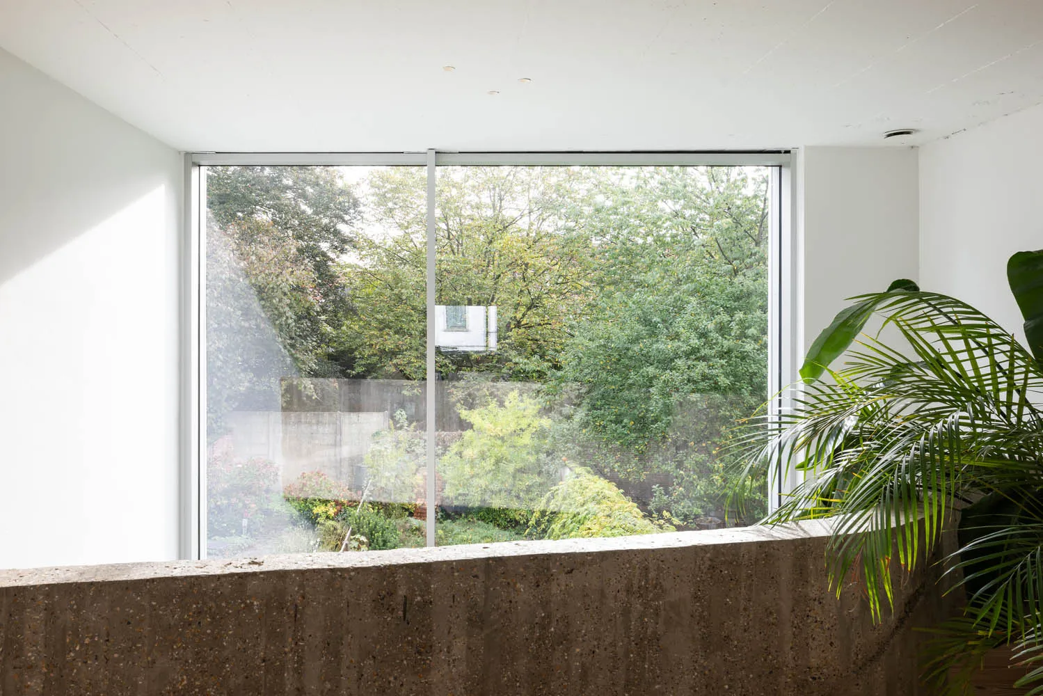 Modern home interior with view of garden through large window, featuring concrete, glass, and lush green plants.
