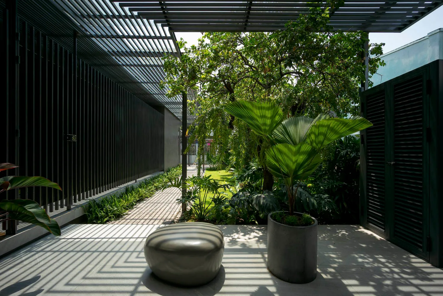 現代室內空間,鋪設混凝土地板並擺放多種綠色植物。