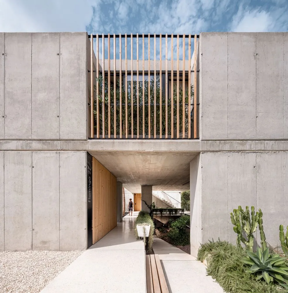 Concrete exterior of a modern building with a wooden lattice and green plants