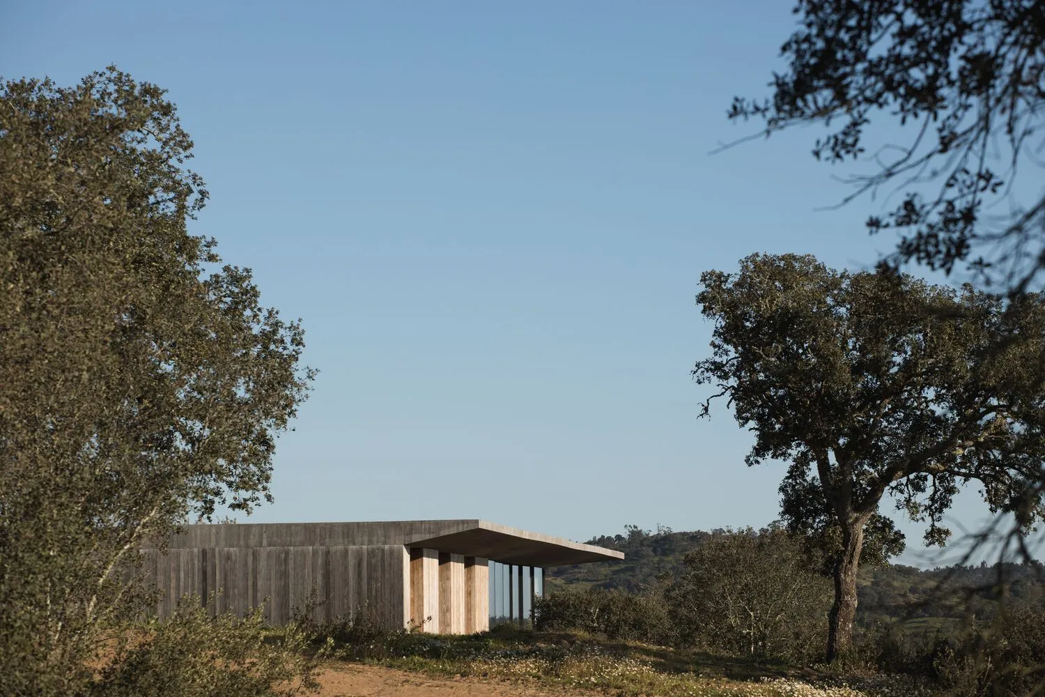Modern residential exterior featuring a concrete and wood exterior with large windows.