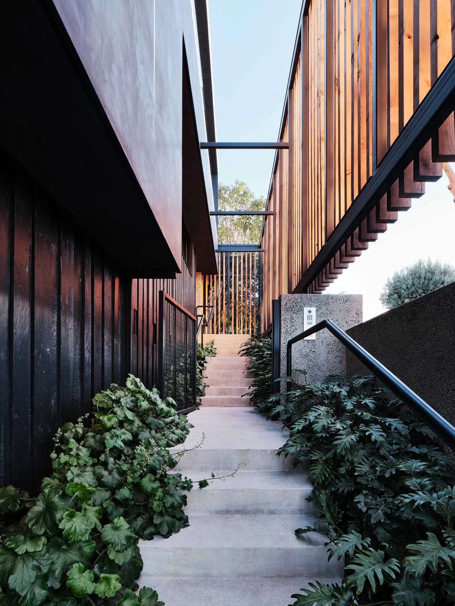 A modern outdoor staircase with concrete steps and wooden railings surrounded by green foliage.
