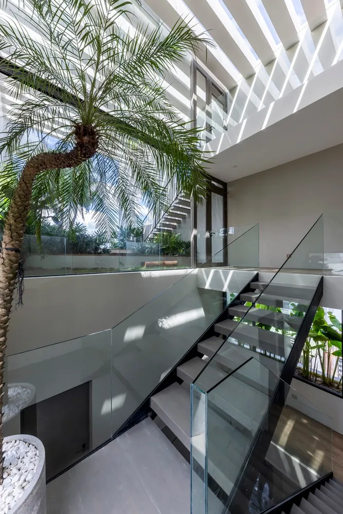 Modern staircase with glass railings and palm tree in indoor courtyard.