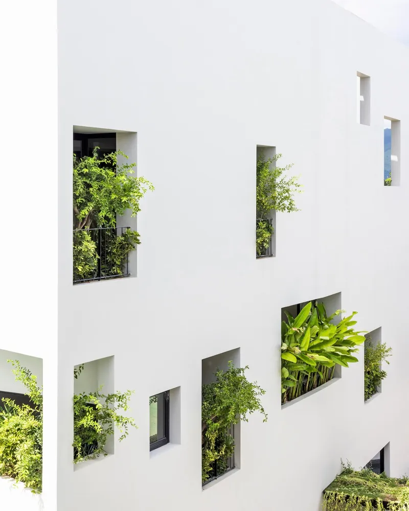白色建築牆面,綠色植物從矩形開口中生長而出。