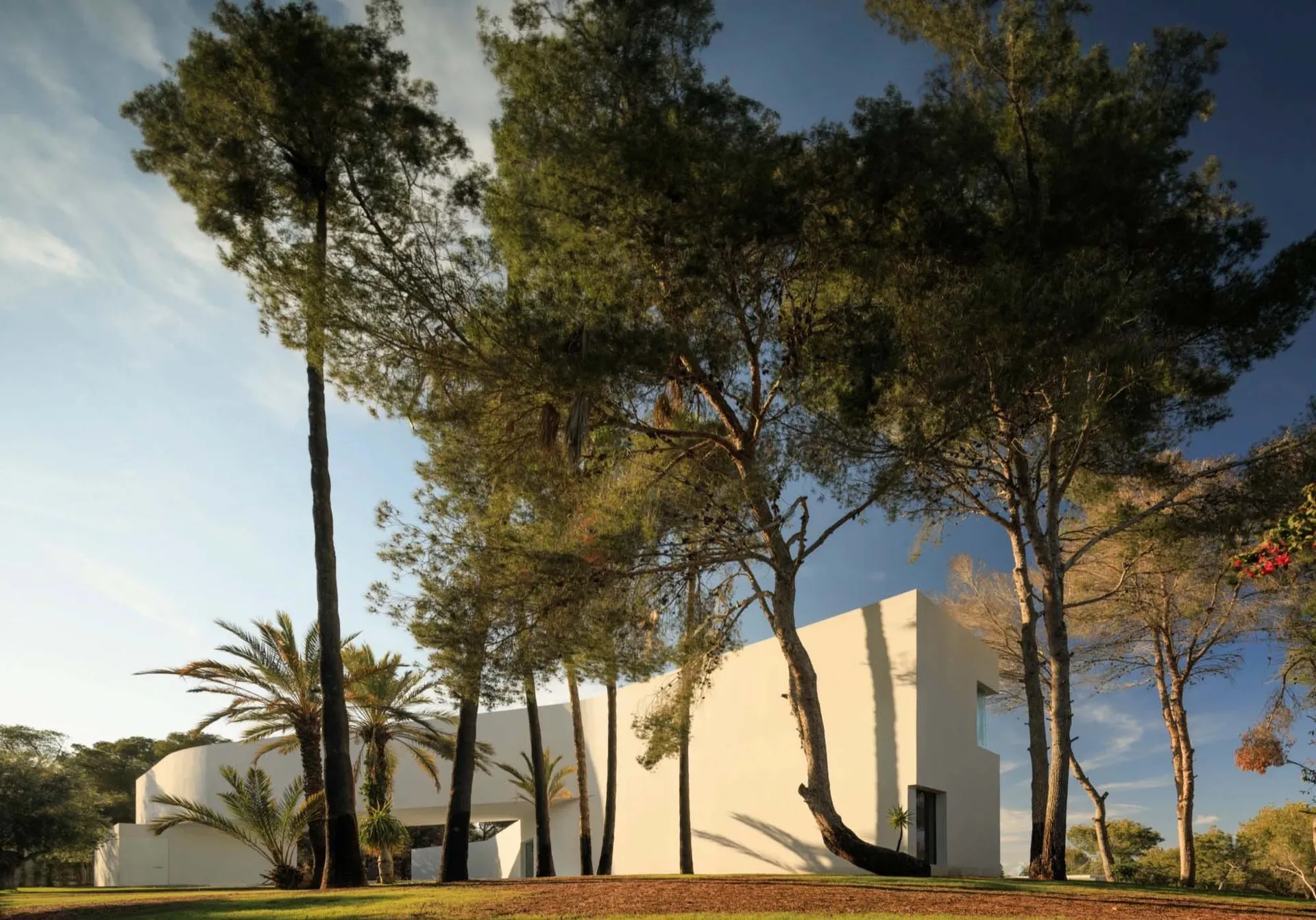 A modern white concrete exterior building surrounded by trees and greenery.