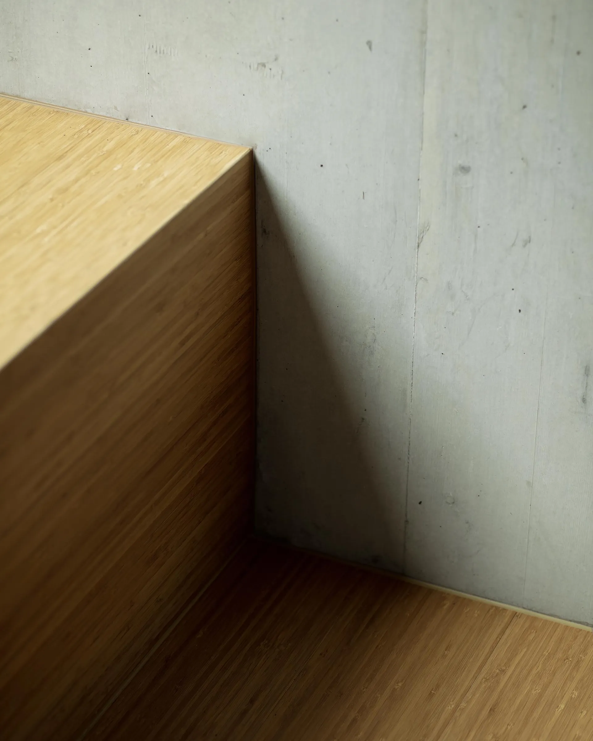 Modern architecture style featuring wood and concrete interior design