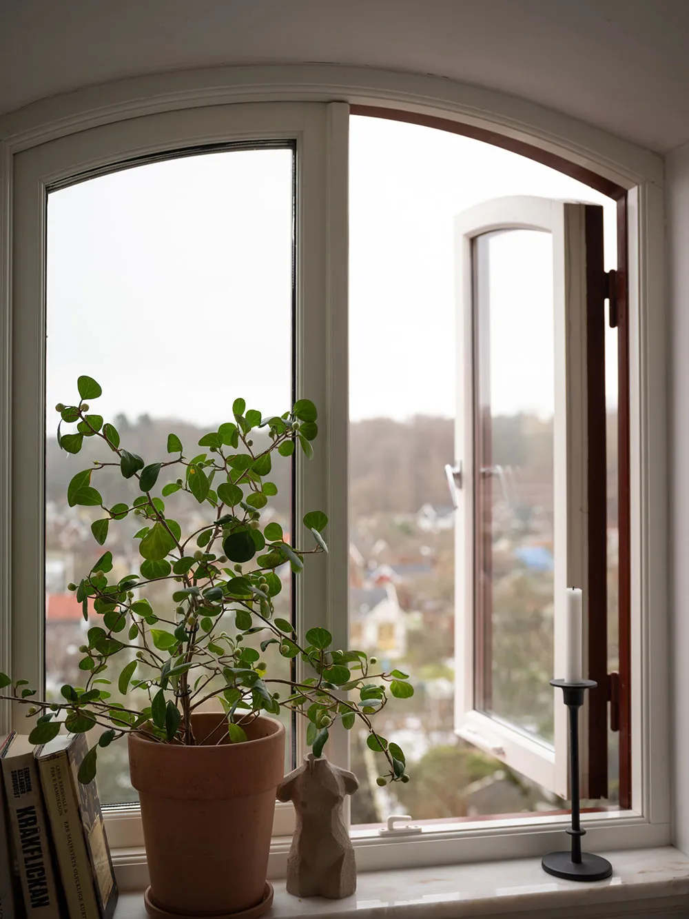 Ceramic pot with green plant on a window sill with an open window in the background.