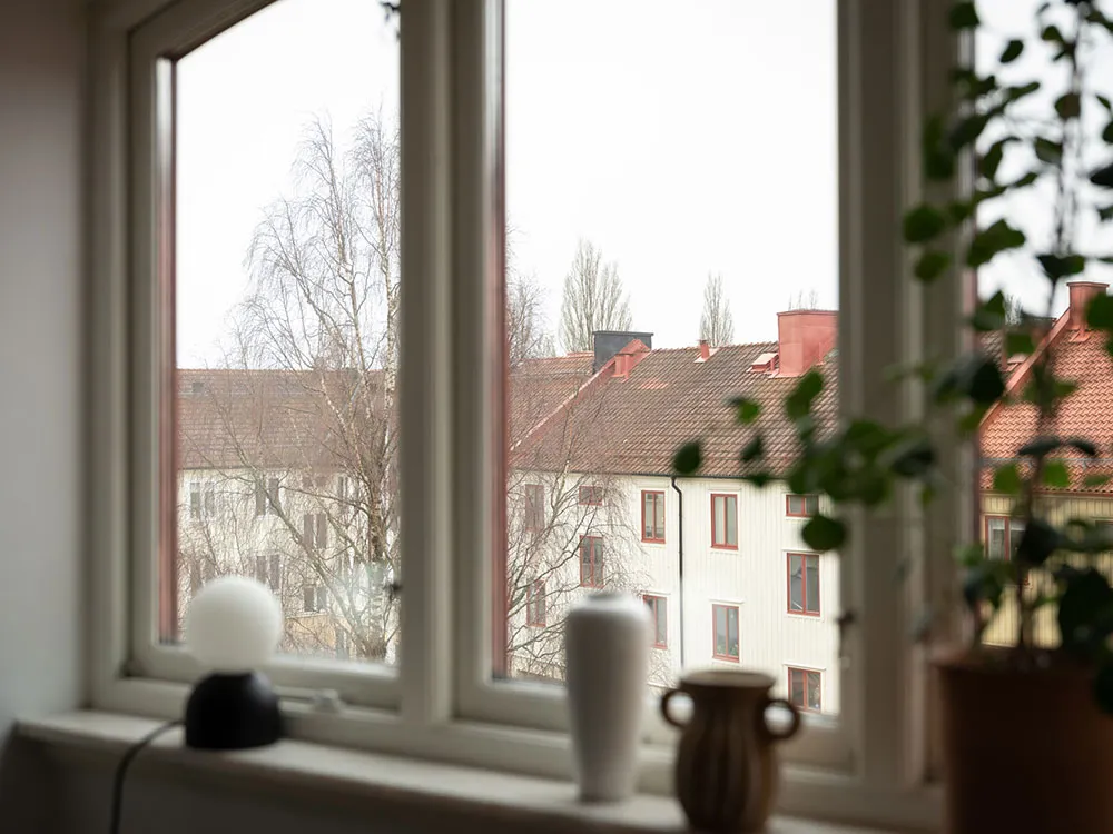 View through a window showing a ceramic indoor plant and residential rooftops in daylight.
