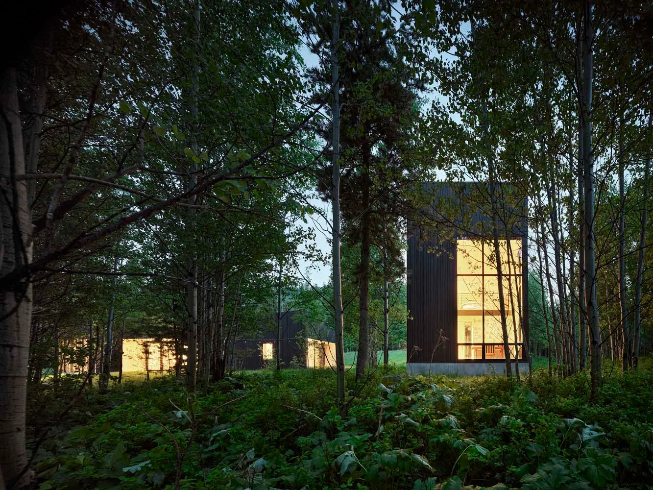 Modern residential architecture featuring wooden materials.