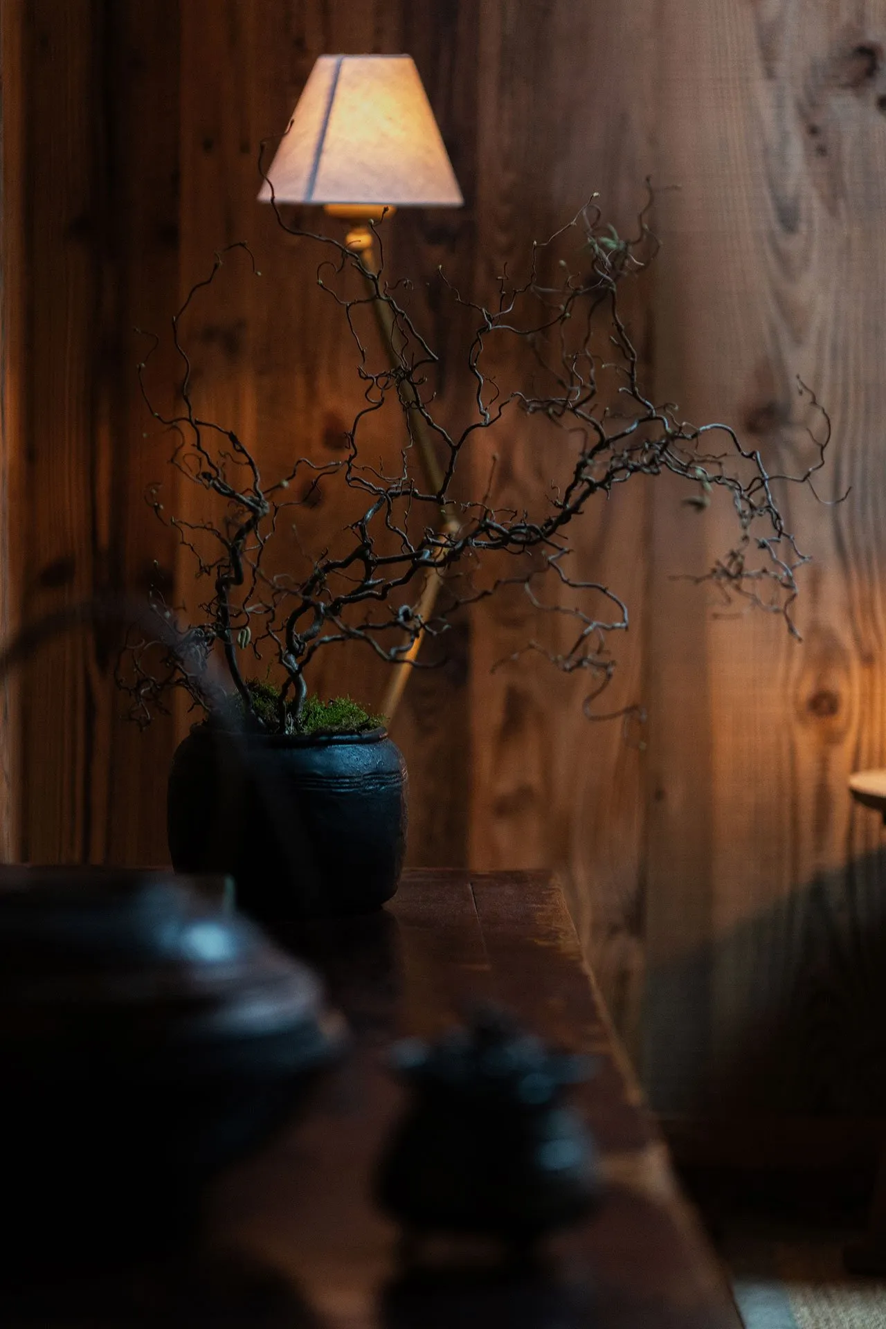 A decorative plant with dark, intertwined branches is placed in a black vase, accompanied by a warm-toned lamp with a brown l