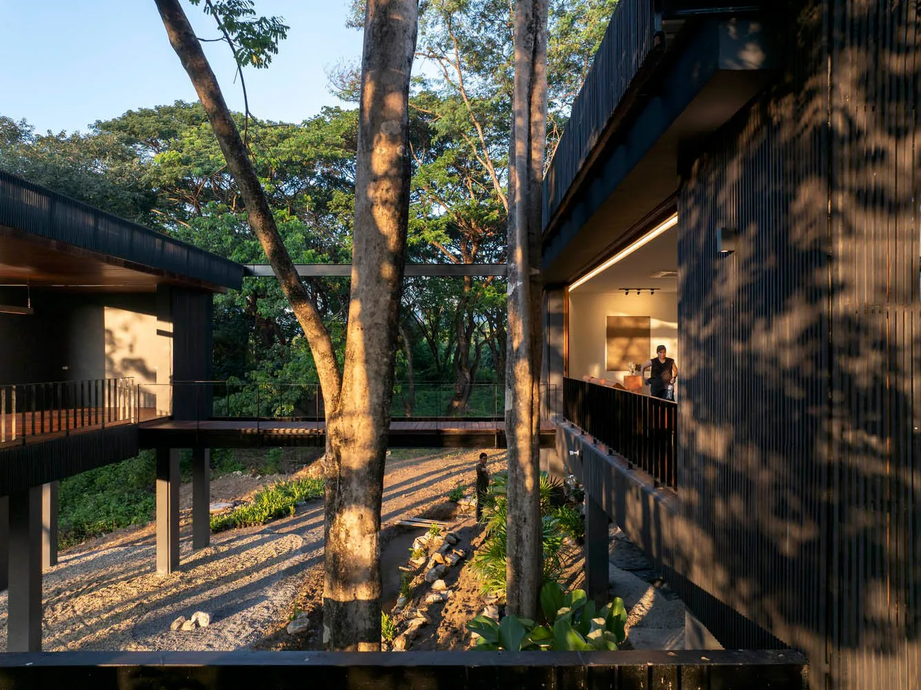 Modern house with metal exterior surrounded by trees and gravel path.