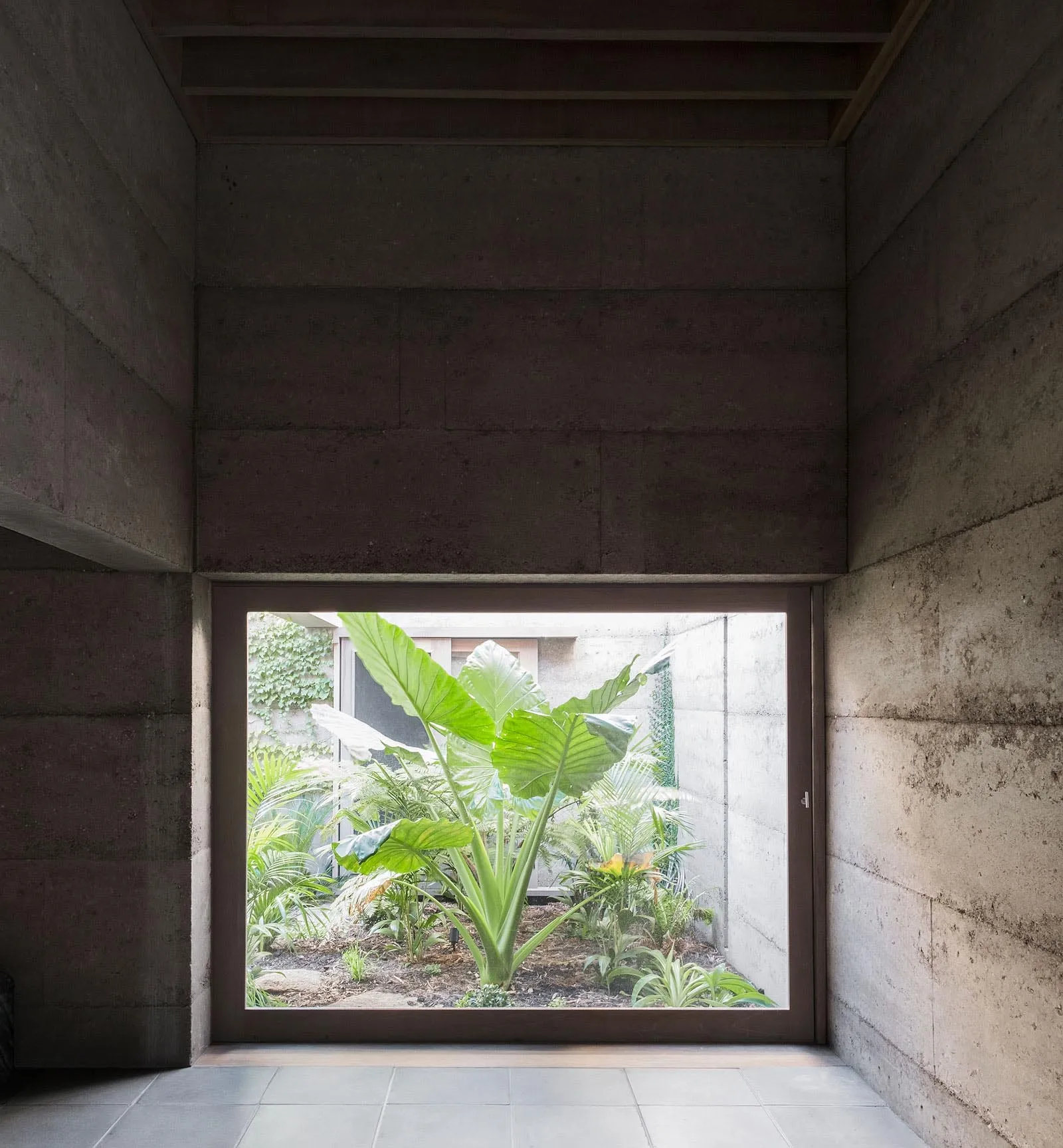 A modern interior space with concrete walls and a view of a lush green garden.
