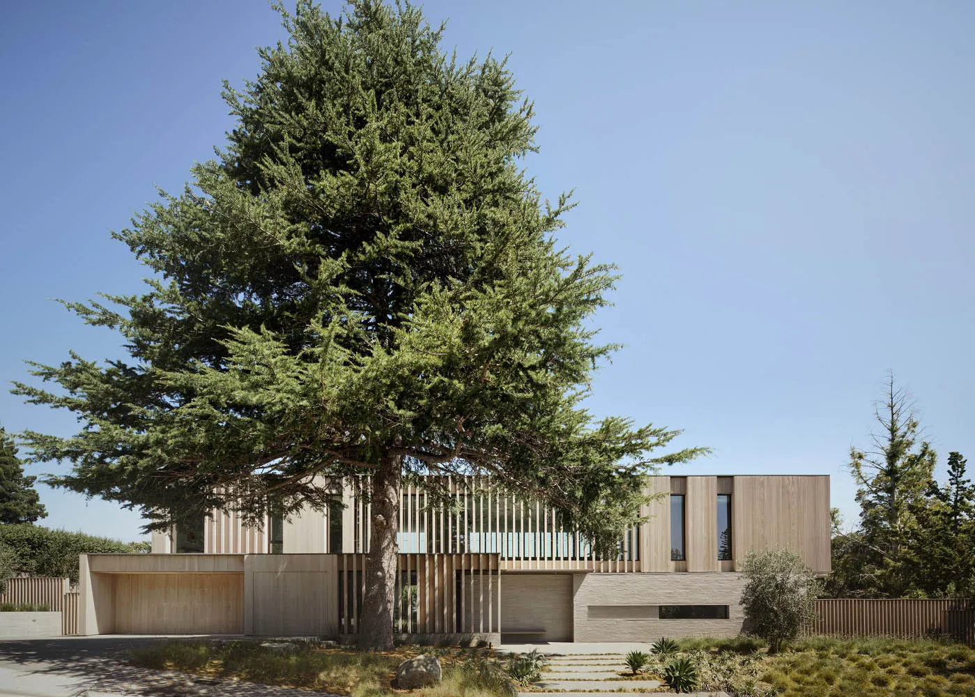 Modern residential exterior with wooden materials and a large tree in the foreground.