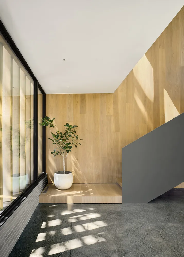 A modern entryway featuring timber floors and a potted plant.