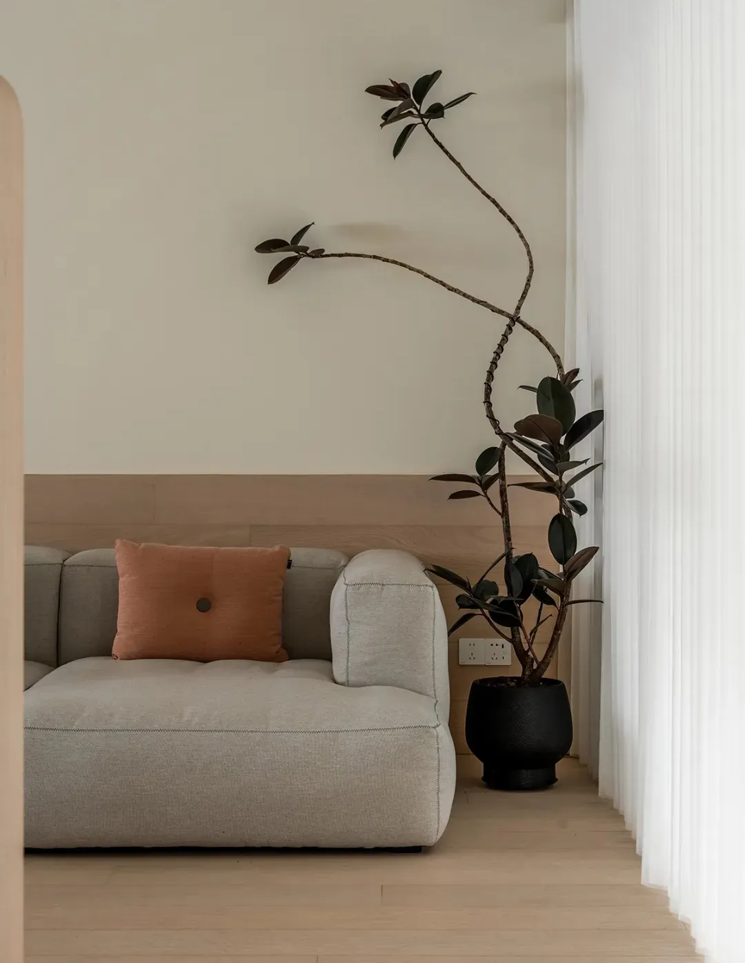 Modern, minimalist living room with grey fabric sofa, pink cushion, and indoor plant in flower pot.