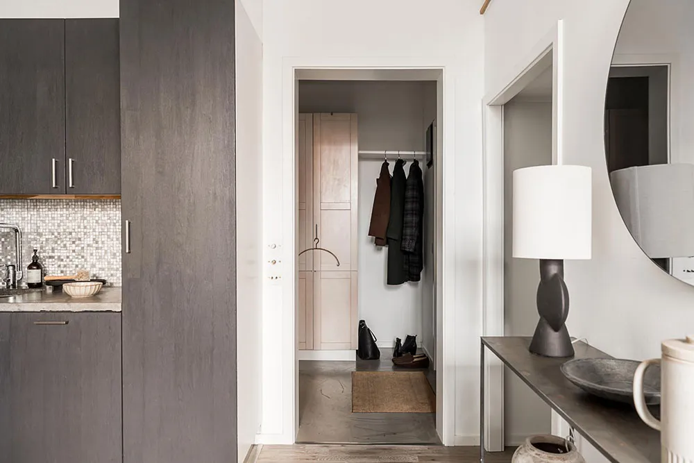 Modern minimalist entryway featuring dark wood and white walls.