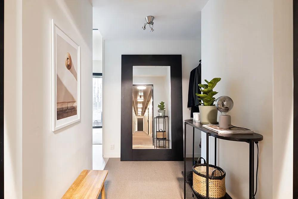 A modern minimalist entrance/hallway showcasing sleek black furnishings and natural light, with a wooden bench and potted pla