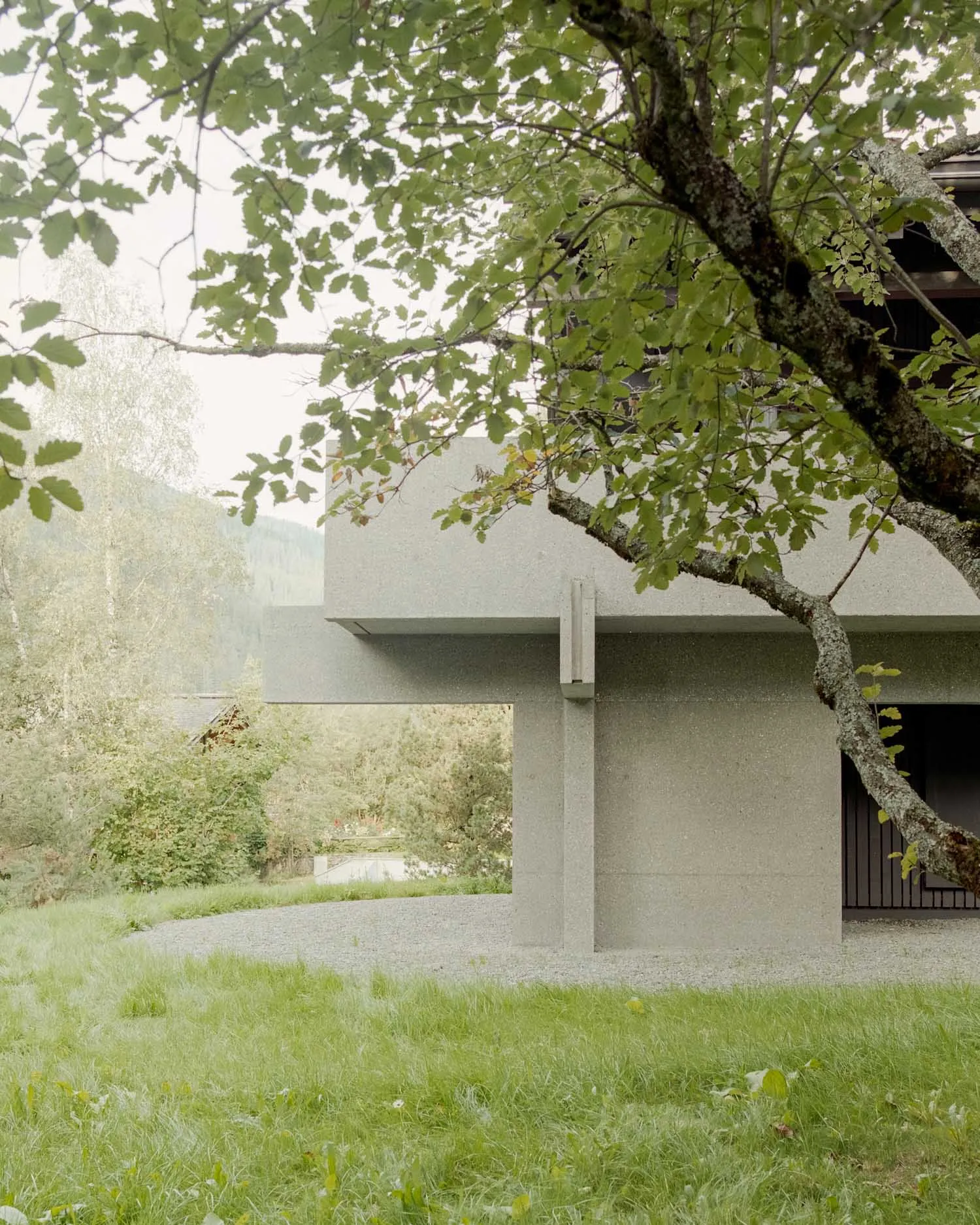 A modern concrete building surrounded by greenery.