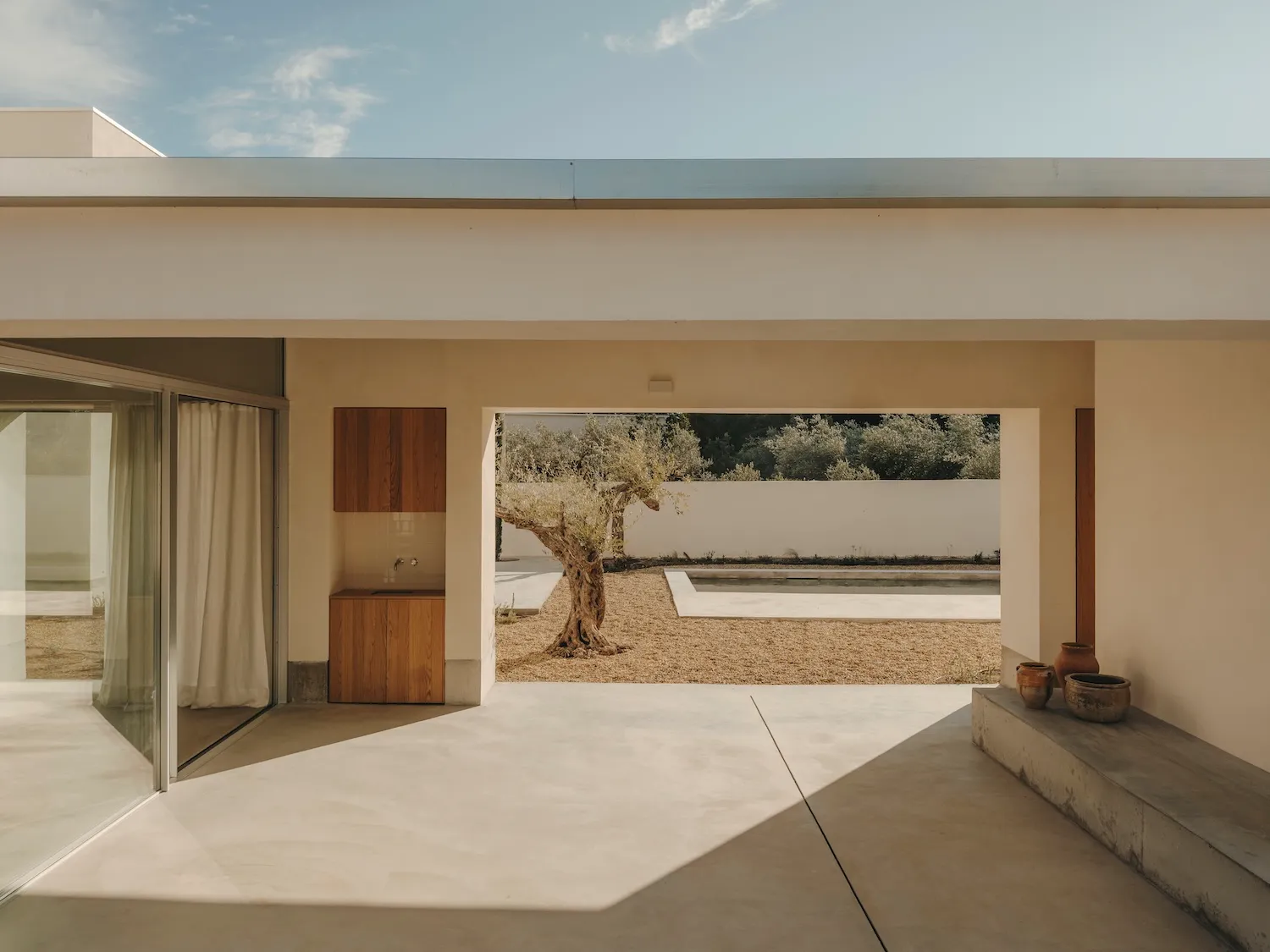 Minimalist architectural interiors featuring concrete materials with a view of an olive tree and pool area.