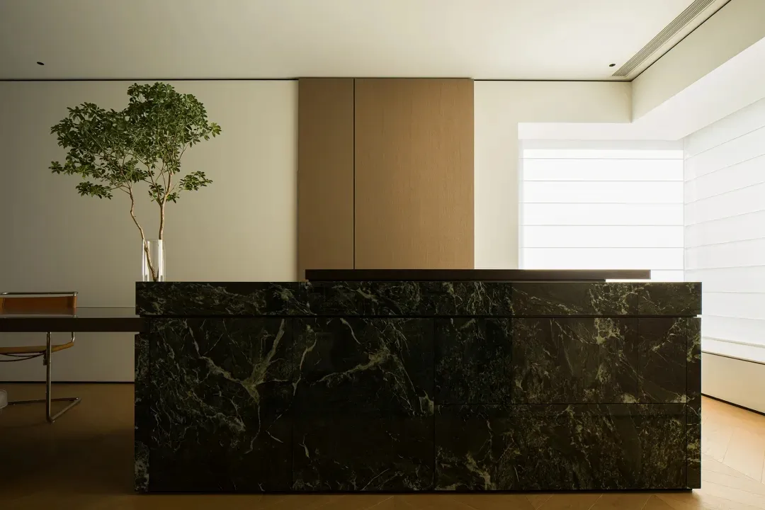 Modern minimalist interior featuring dark marble elements and a potted plant.