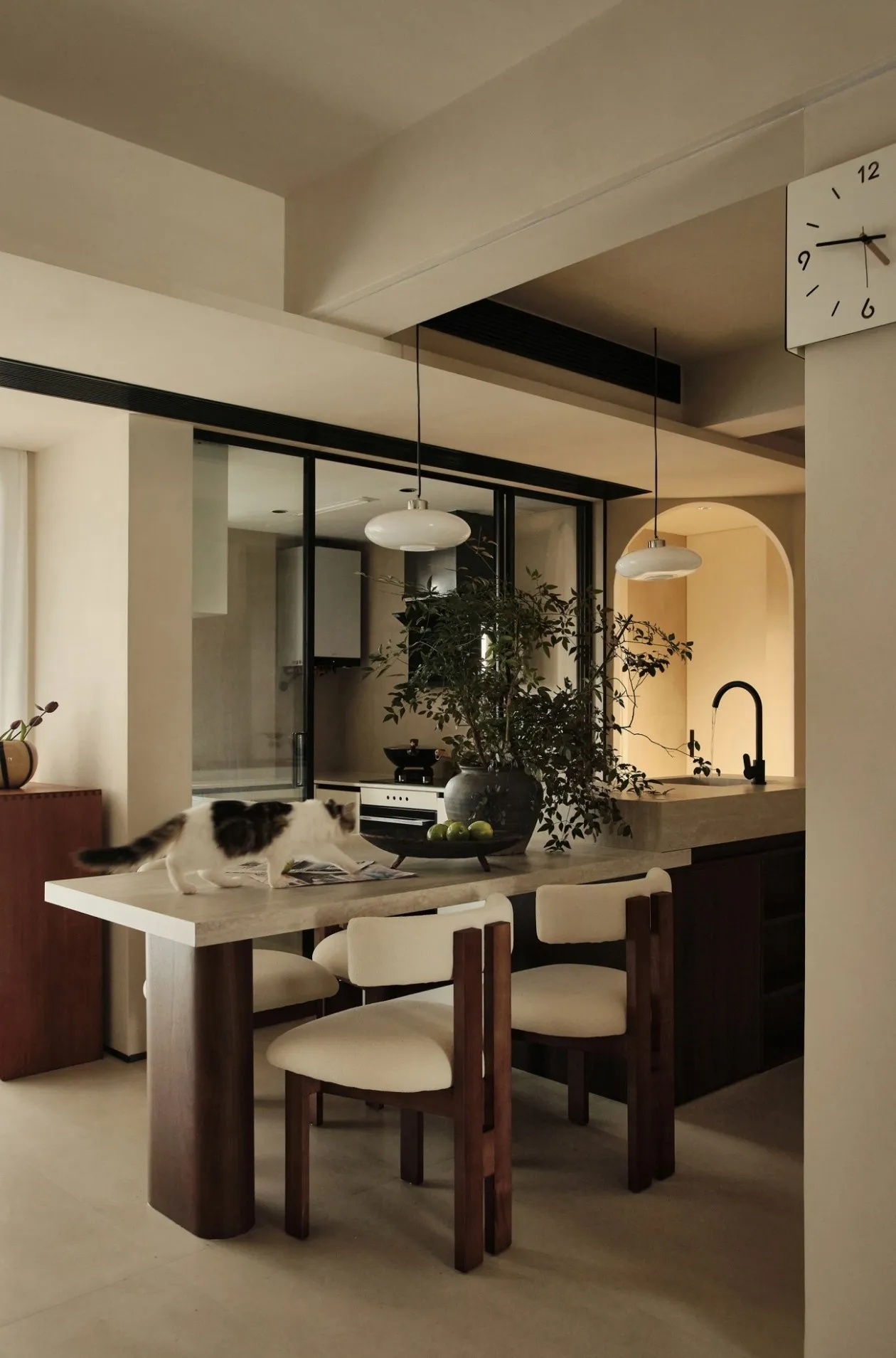 Modern minimalist kitchen with concrete countertop and black and white cat.