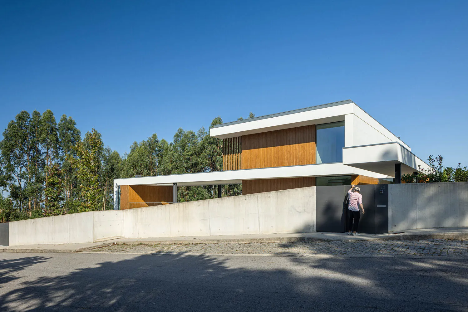 Modern residential exterior featuring concrete, glass, and wood materials.