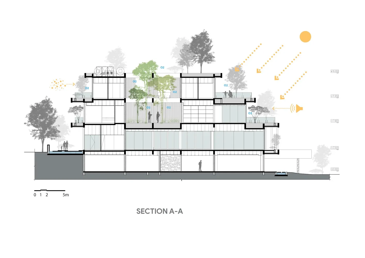 Cross-sectional architectural drawing of a modern building with terraced trees and open spaces.