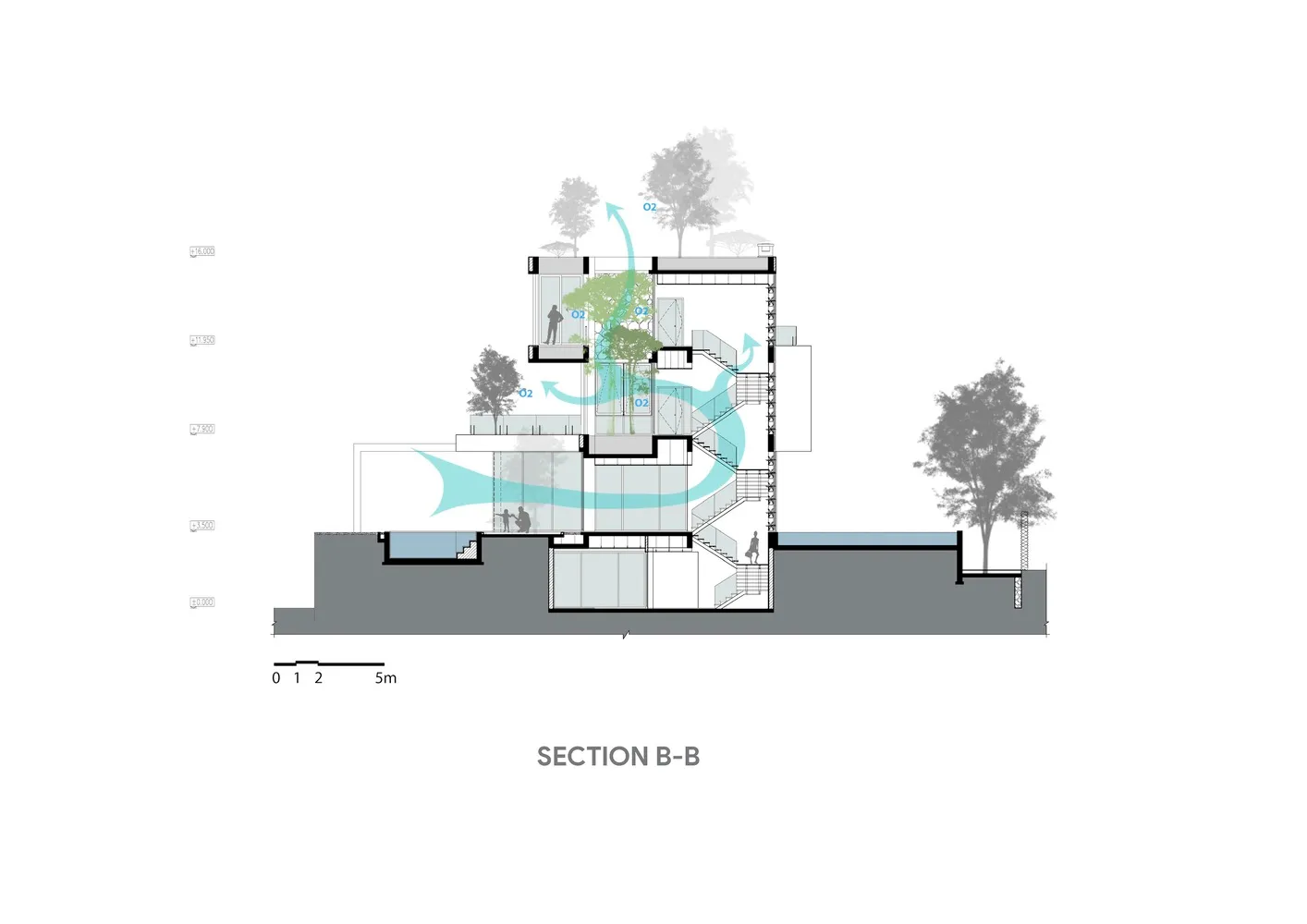 Section view of a modern house showcasing interior design and architectural features.