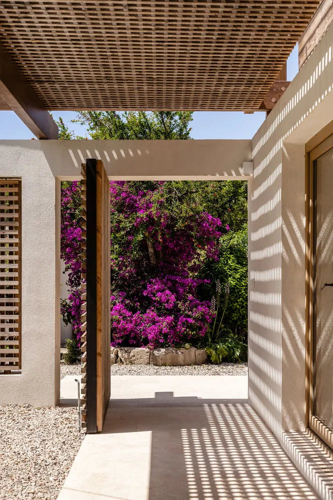 A modern, minimalist house with concrete walls and a pergola leading to a lush garden with purple flowers.