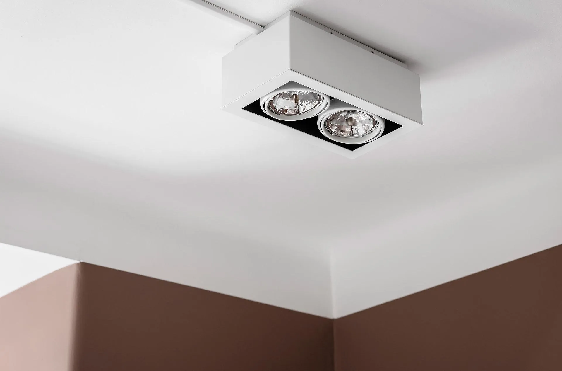 A white ceiling-mounted downlight fixture with two bulbs.