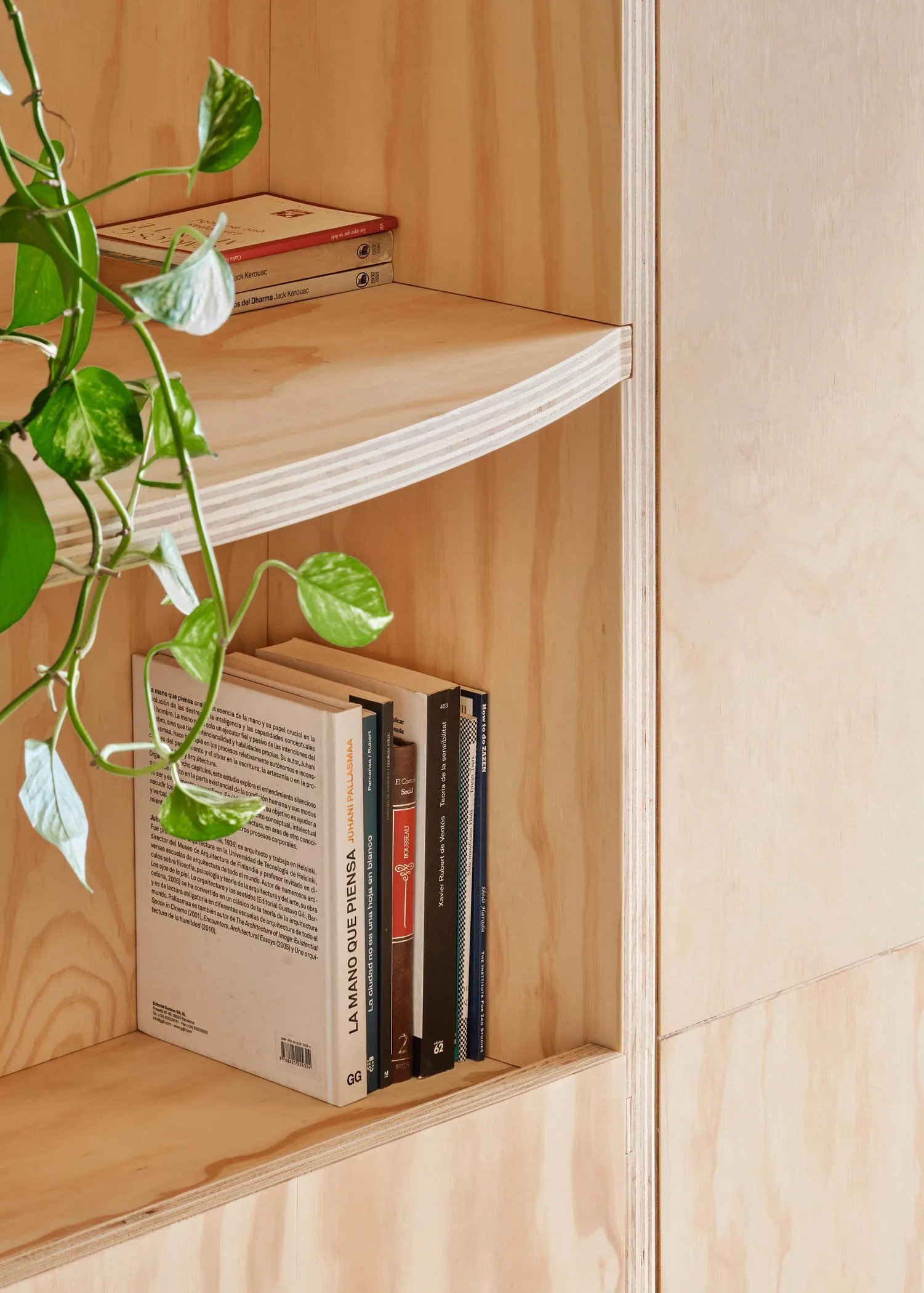 An elegant minimalist bookshelf with a green leafy plant.