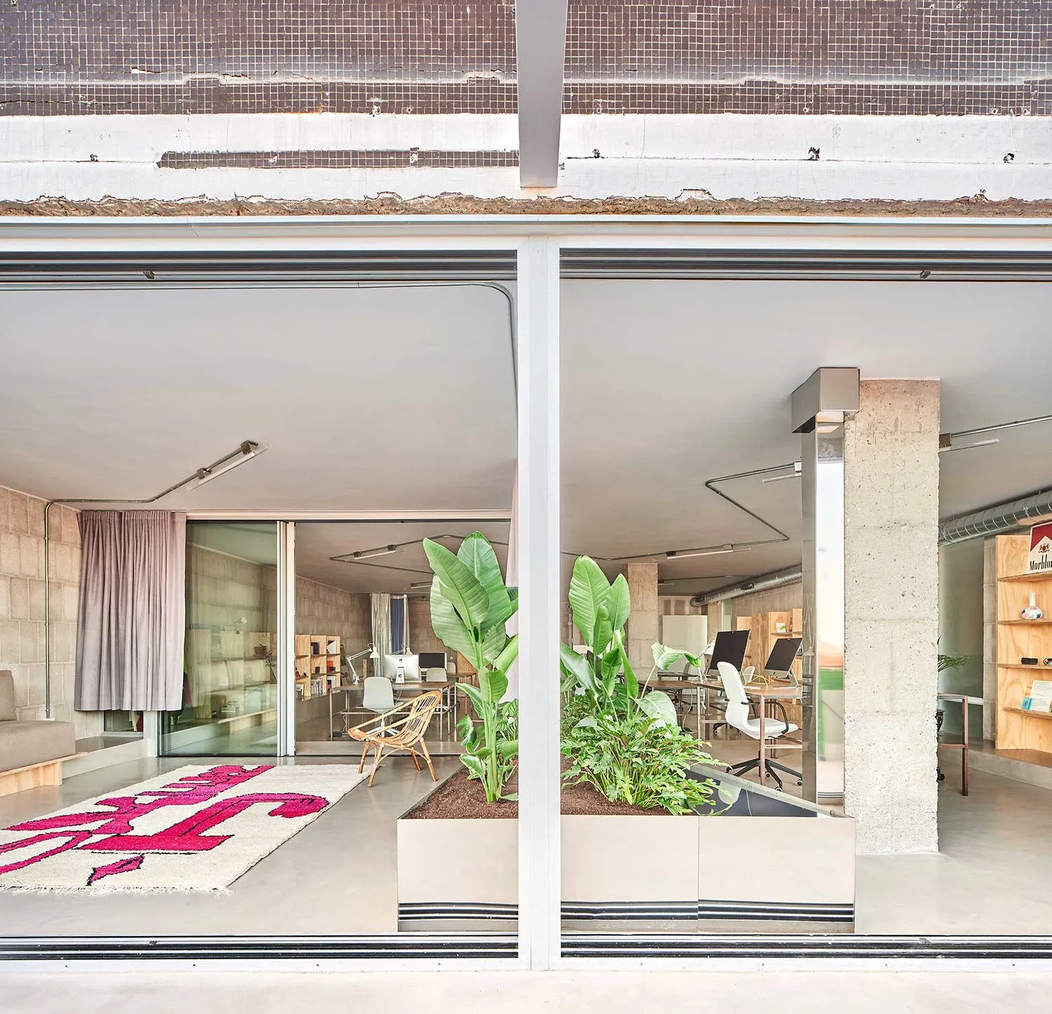 Modern office space featuring concrete walls and plants