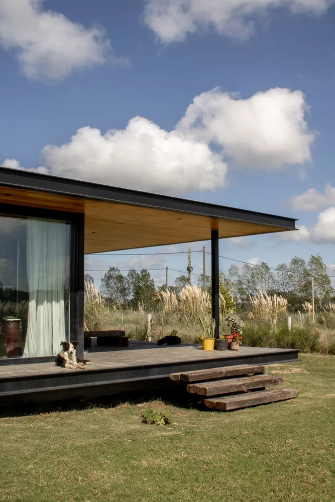 A modern home with a transparent roof made of wood