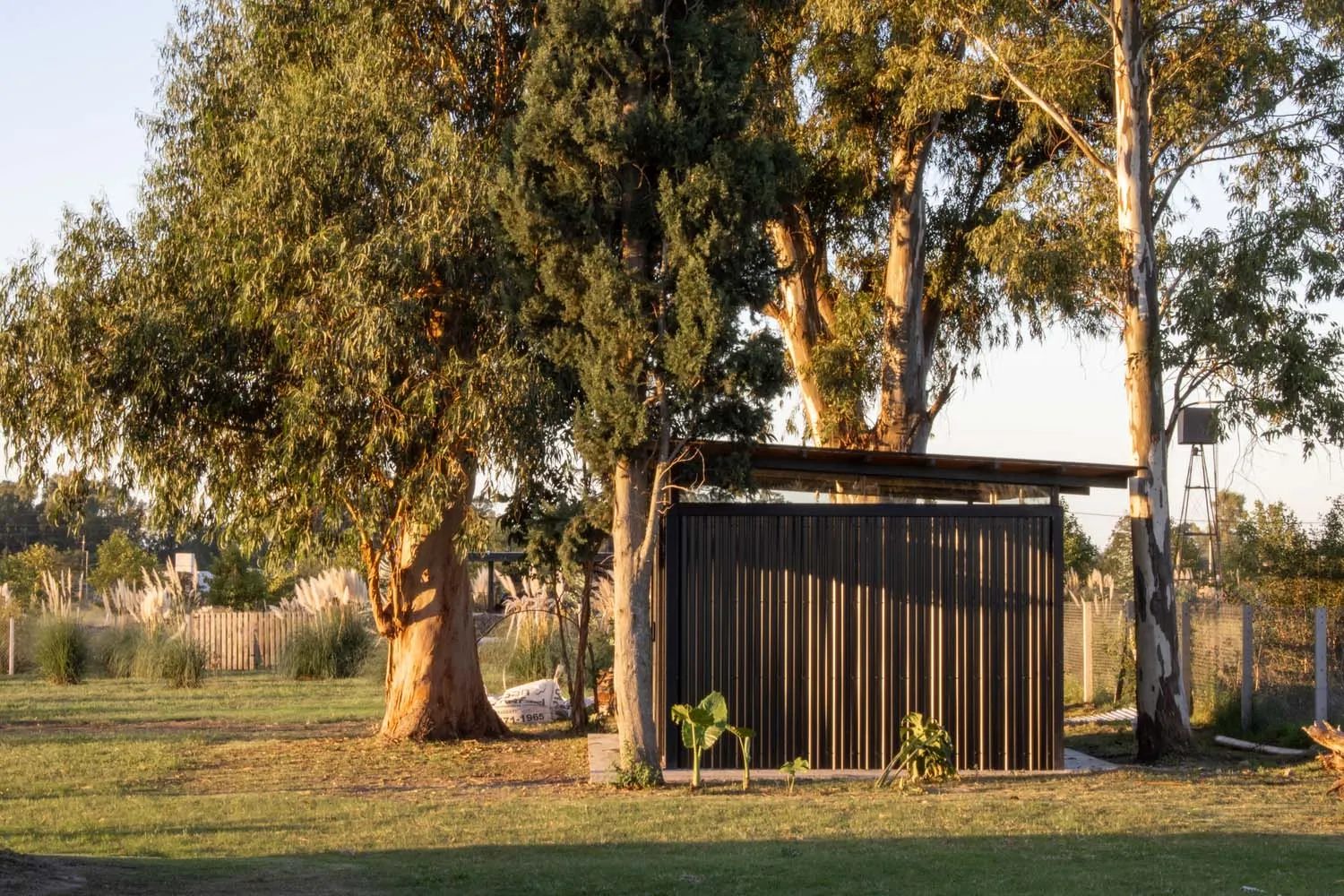A modern metal shed with trees in the background, showcasing architectural design and outdoor living.