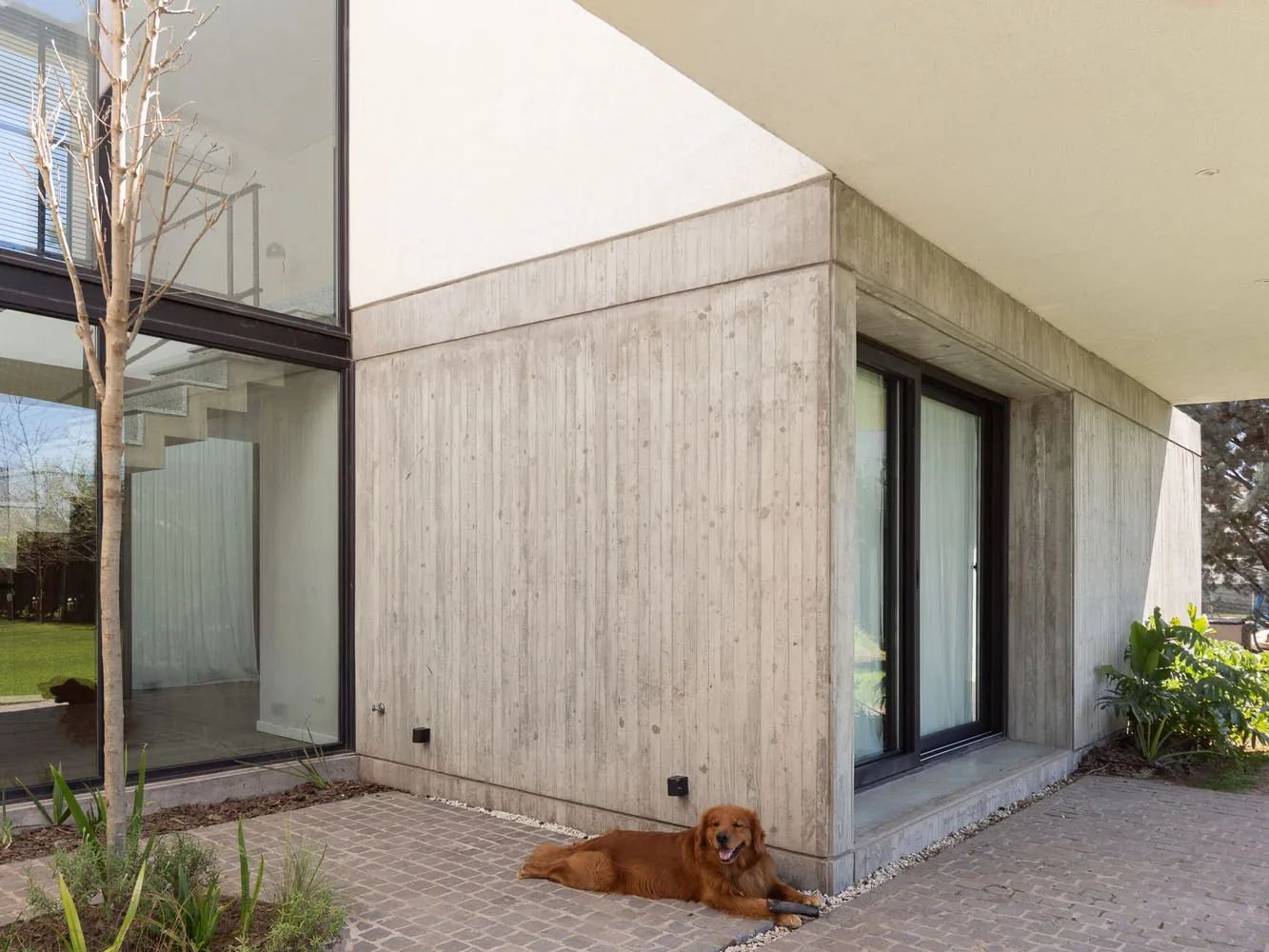 A modern exterior building with a concrete wall and glass windows.