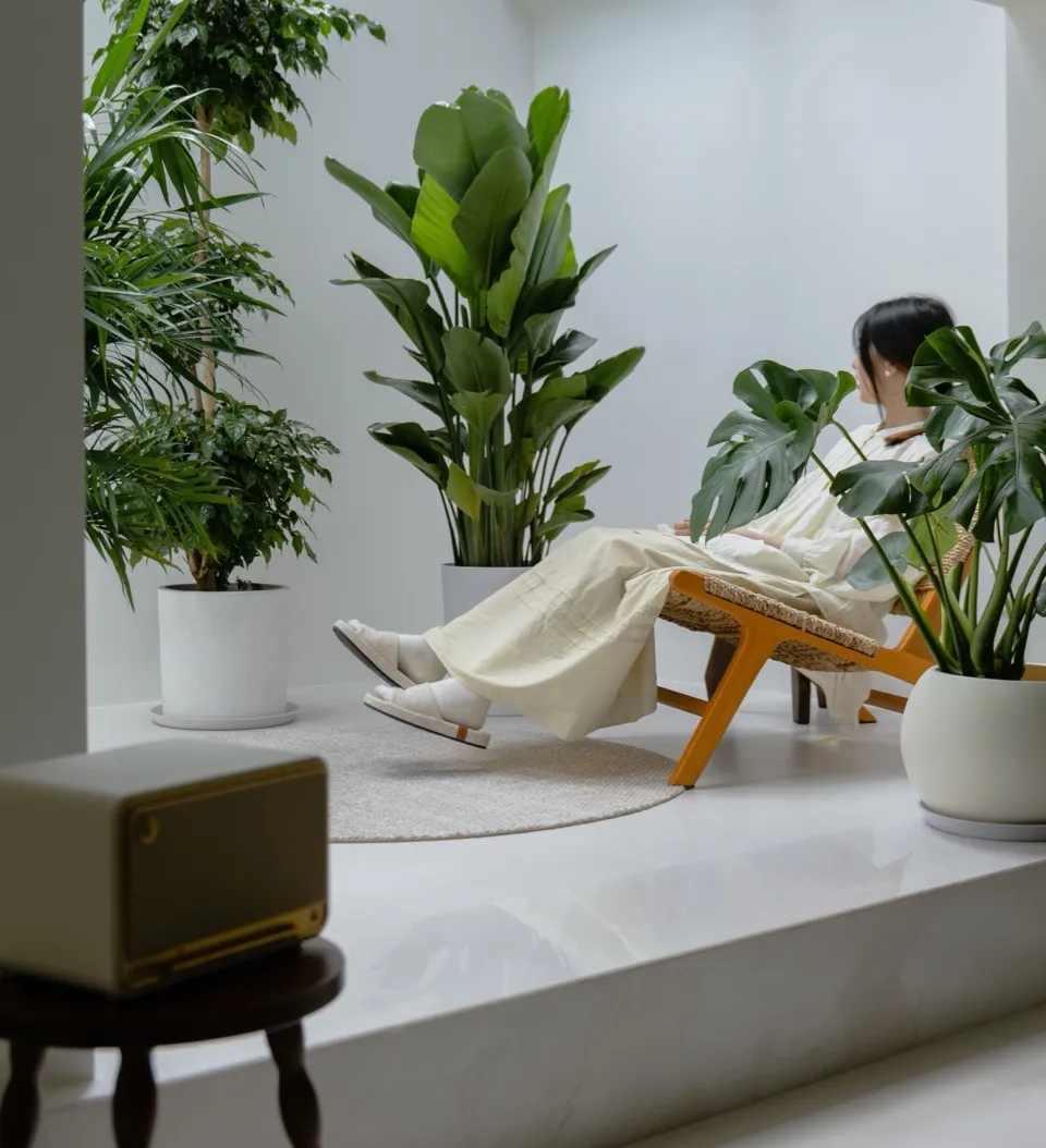 A minimalist living room with large, green potted plants, a woven lounge chair, and a white rug on a white floor.