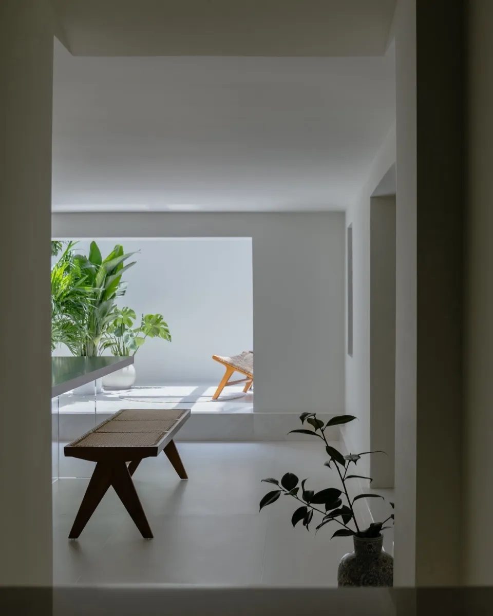 A modern minimalist studio apartment featuring a minimalist furniture arrangement, concrete floor, and green plants.