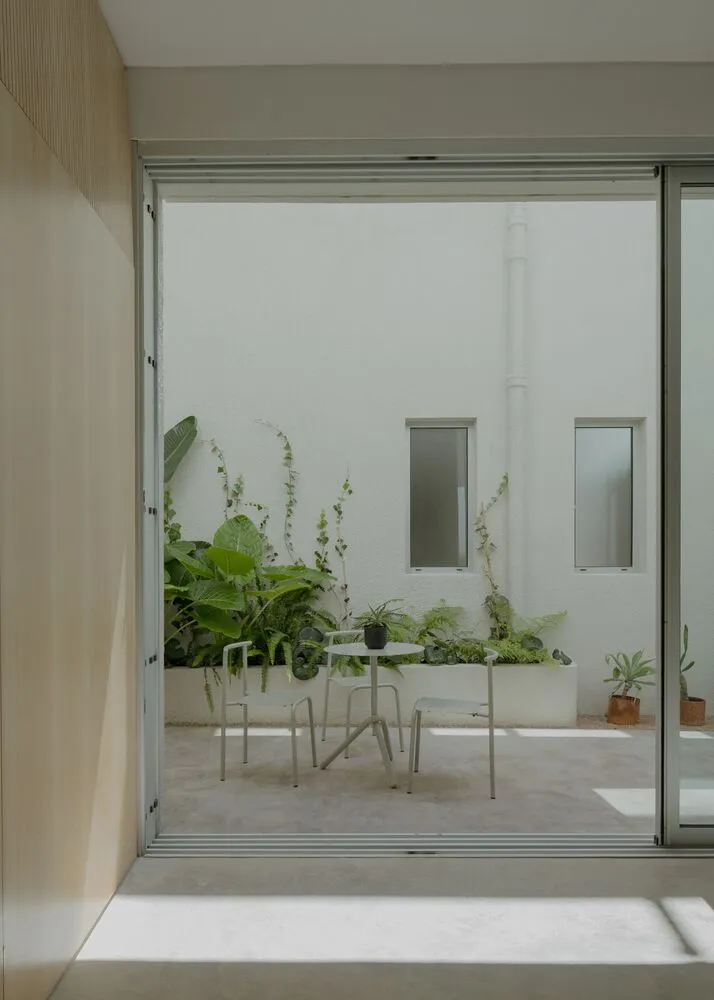 A minimalist patio featuring concrete and potted plants.