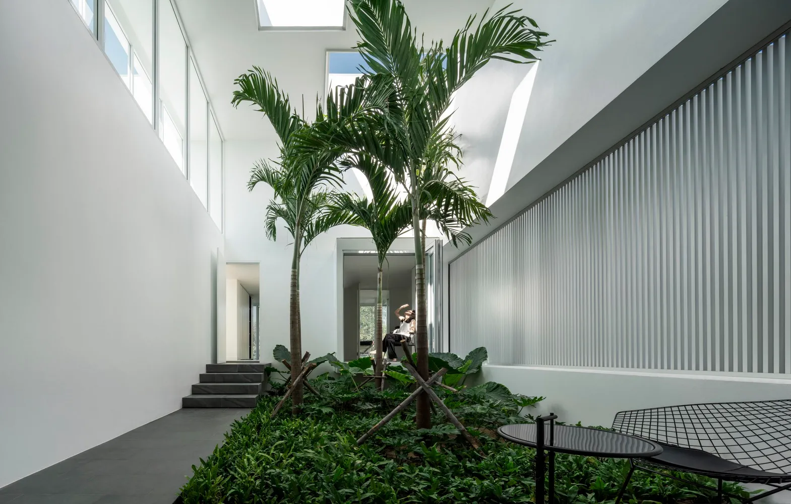 Modern living space featuring palm trees and other greenery within a glass and concrete structure.