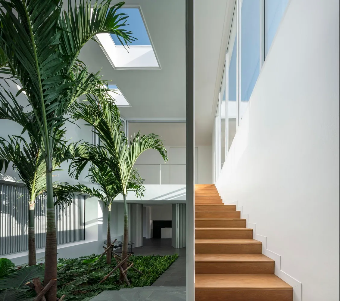 Modern interior courtyard with wooden stairs, glass walls, and green plants
